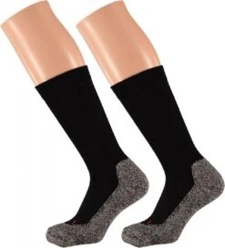 Apollo® Zwarte Wandelsokken Voor Dames 35/38 - Dames Wandelsokken/hiking Sokken