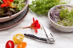 Diamant Sabatier - Chef's Mate Zakmes -Falke Shop 1200x799 17