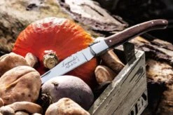 Laguiole Style De Vie Zakmes - In Giftbox - Rozenhout 30 Laguiole Style De Vie Zakmes - In Giftbox - Rozenhout -Falke Shop 1200x799 23