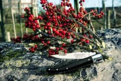 Laguiole Style De Vie Zakmes - In Giftbox - Zwart Ebbenhout -Falke Shop 1200x800 11