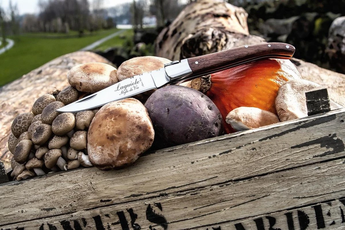 Laguiole Style De Vie Zakmes - In Giftbox - Rozenhout 7 Laguiole Style De Vie Zakmes - In Giftbox - Rozenhout - Afbeelding 5