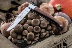 Laguiole Style De Vie Zakmes - In Giftbox - Rozenhout 24 Laguiole Style De Vie Zakmes - In Giftbox - Rozenhout -Falke Shop 1200x800 42