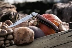 Laguiole Style De Vie Zakmes - In Giftbox - Rozenhout 26 Laguiole Style De Vie Zakmes - In Giftbox - Rozenhout -Falke Shop 1200x800 44