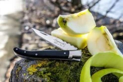 Laguiole Style De Vie Zakmes - In Giftbox - Zwart Ebbenhout -Falke Shop 1200x800 8