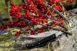 Laguiole Style De Vie Zakmes - In Giftbox - Zwart Ebbenhout -Falke Shop 1200x800 9