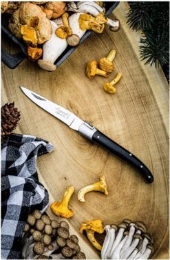 Laguiole Style De Vie Zakmes - In Giftbox - Zwart Ebbenhout -Falke Shop 787x1200