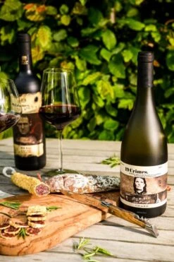 Laguiole Style De Vie Zakmes - Met Kurkentrekker - In Giftbox -Falke Shop 800x1200 14